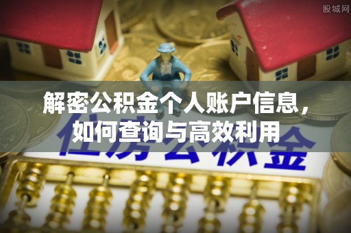 金阳解密公积金个人账户信息，如何查询与高效利用