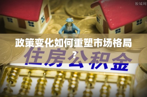 金阳政策变化如何重塑市场格局？