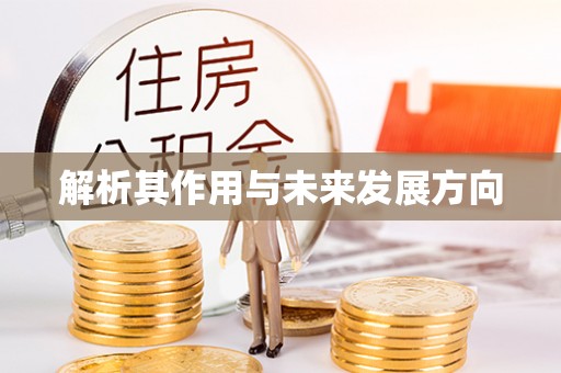 玉溪解析其作用与未来发展方向